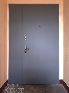 Тамбурная дверь с нитроэмалью