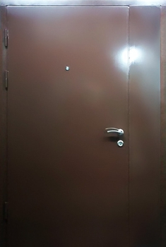 Однопольная дверь с покрасом нитроэмалью 11