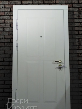 Железная дверь с белой накладкой