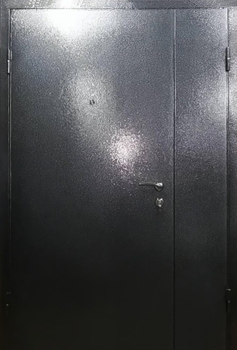 Полуторная дверь с порошковым напылением 10