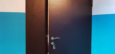 Фото дверей с боковой вставкой