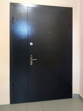 Полуторная порошковая дверь