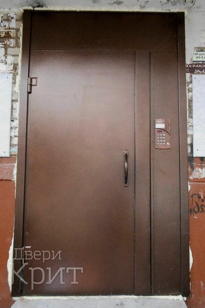 Порошковая дверь в подъезд