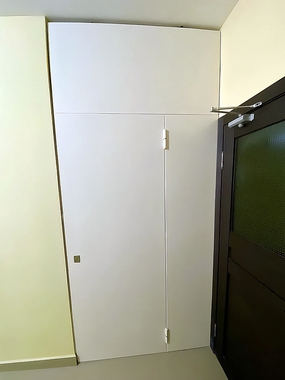 Белая нестандартная дверь