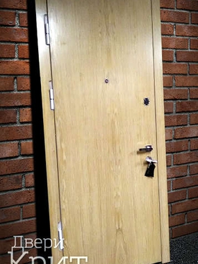 Однопольная светлая дверь