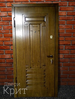 Однопольная дверь с отделкой МДФ 38