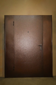 Однопольная дверь с порошковым напылением 30