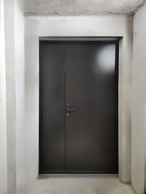 Дверь с черной покраской