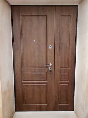 Дверь с панелями МДФ