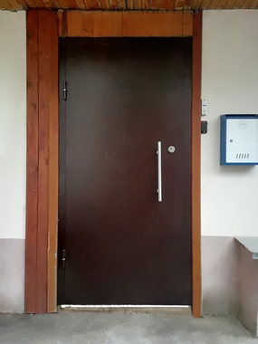 Дверь с порошковой окраской
