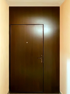 Дверь со стационарными вставками, вид обратной стороны