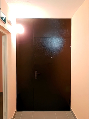 Дверь со стационарными вставками, вид внешней стороны