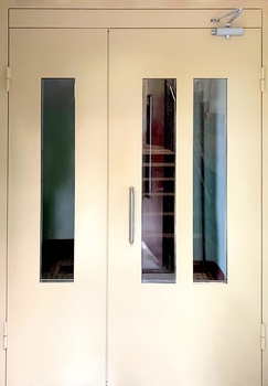 Двупольная дверь с покрасом нитроэмалью 49