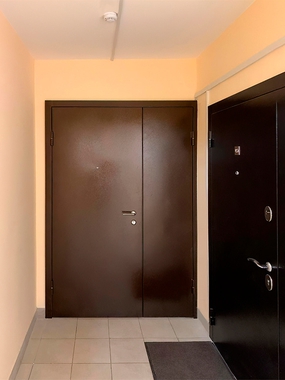 Двустворчатая коричневая дверь