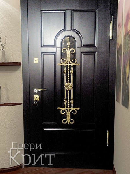 Дверь с темной панелью