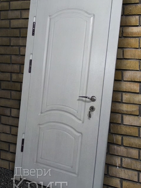 Однопольная дверь с белым МДФ