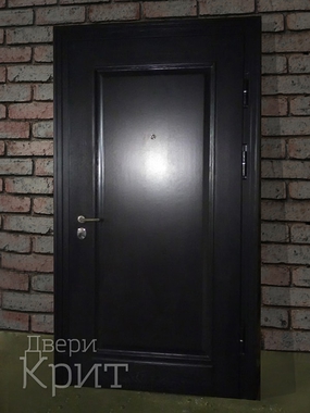 Стальная дверь с черной панелью