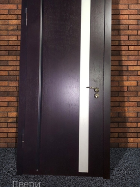 Дверь с вертикальной вставкой