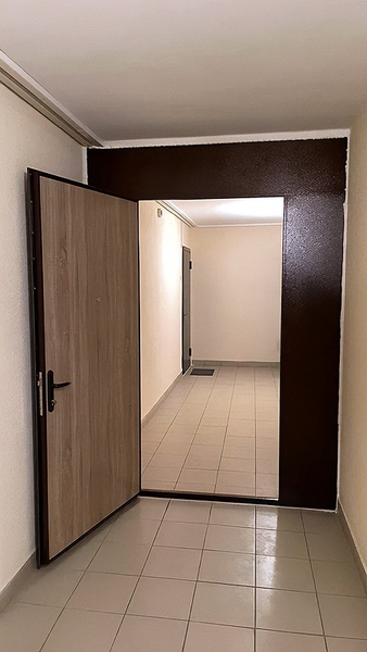 Фото тамбурной двери