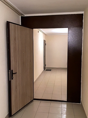 Фото тамбурной двери
