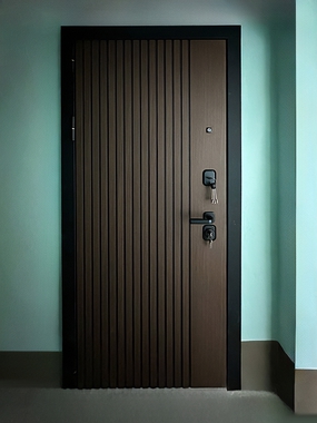 Коричневая квартирная дверь