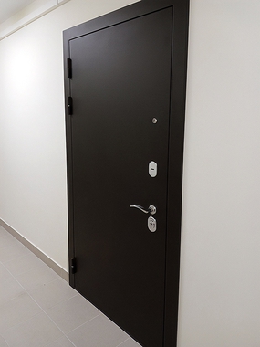 Квартирная порошковая дверь