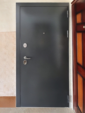 Квартирная порошковая дверь