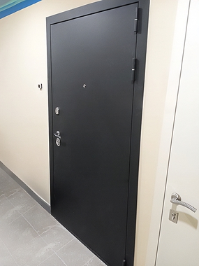 Квартирная входная дверь