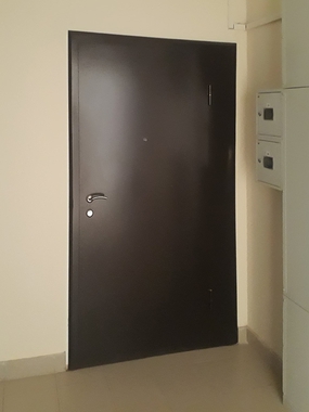 Нестандартная дверь в квартиру