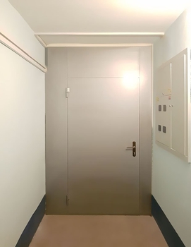 Однопольная дверь с покрасом нитроэмалью 26