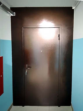 Однопольная дверь-перегородка