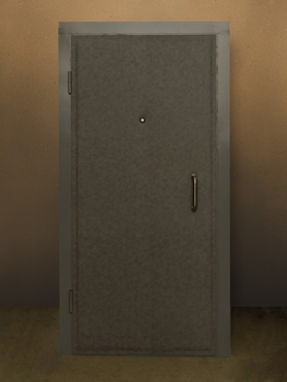 Однопольная дверь с отделкой винилискожей 11
