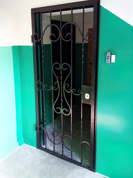 Однопольная дверь с покрасом нитроэмалью 30