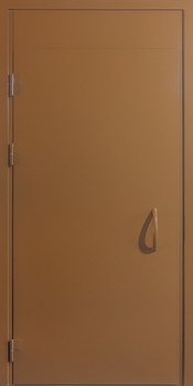 Однопольная дверь с покрасом нитроэмалью 46