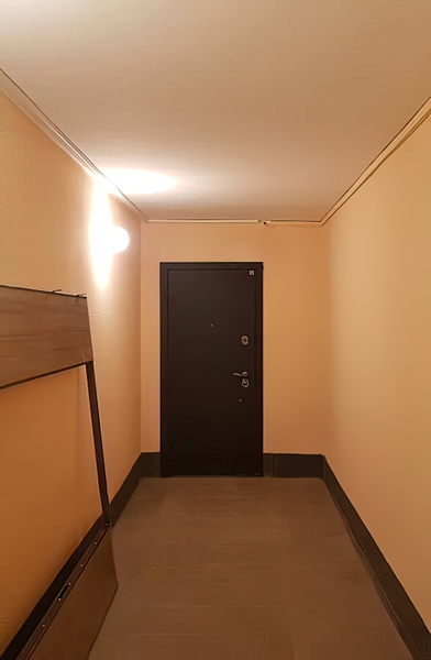 Дверь для квартиры