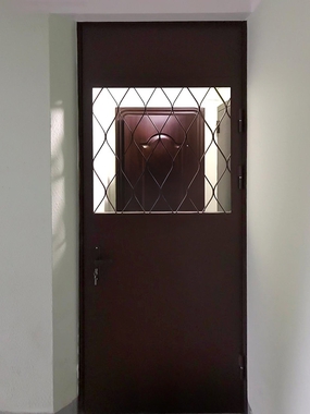 Одностворчатая дверь с решеткой