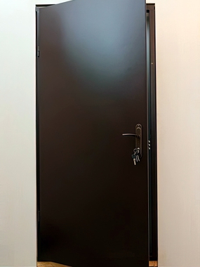 Одностворчатая дверь в квартиру