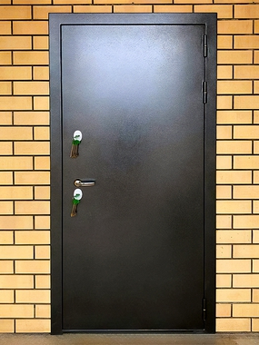 Одностворчатая порошковая дверь