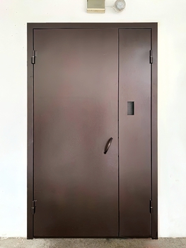Полуторная дверь с порошковым напылением 138