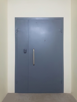 Полуторная дверь с порошковым напылением 139