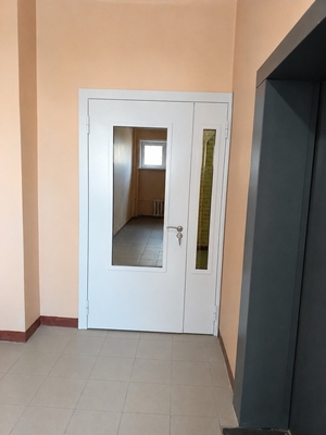Полуторная дверь с порошковым напылением 238