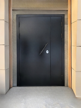 Порошковая дверь черного цвета