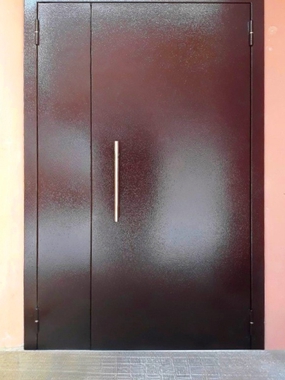 Порошковая дверь с ручкой-скобой
