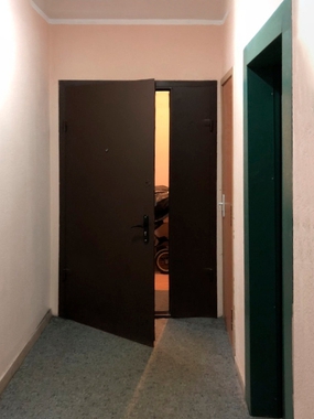 Порошковая дверь в тамбур