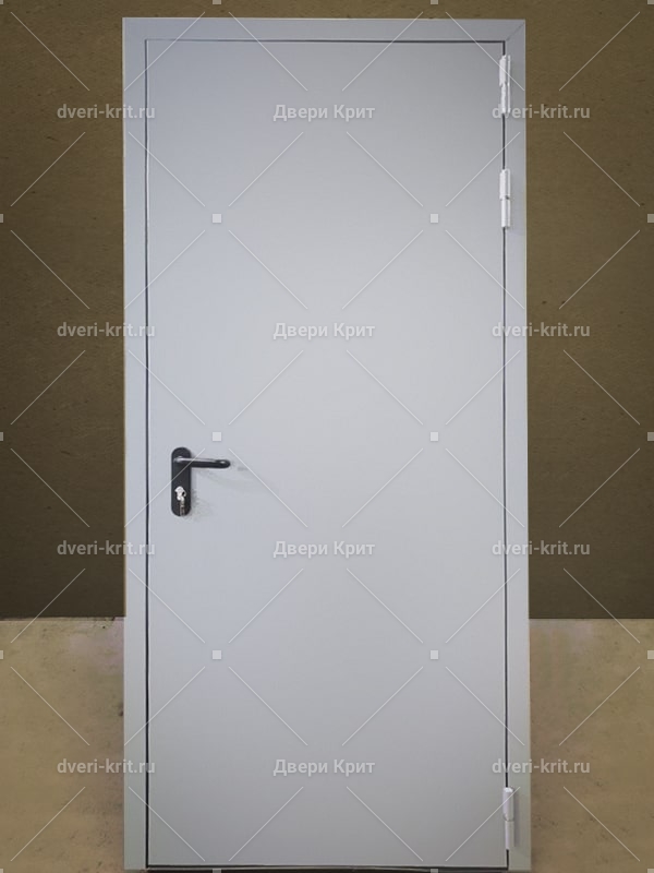 Protivopozharnaya Odnopolnaya Dver Dmp 06
