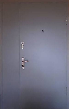 Однопольная дверь с покрасом нитроэмалью 01