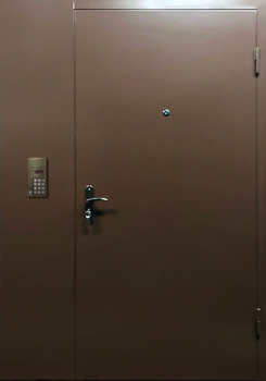 Однопольная дверь с покрасом нитроэмалью 25