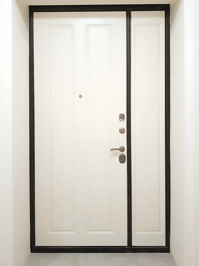 Тамбурная металлическая дверь