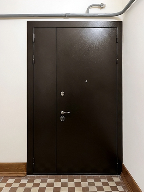Тамбурная металлическая дверь