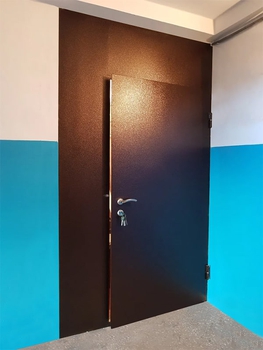 Однопольная дверь с порошковым напылением 100
